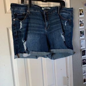distressed torrid plus size shorts